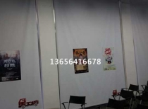 美女视频黄网站