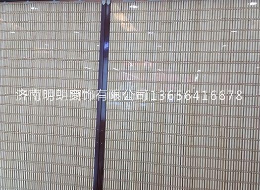 美女黄色网址