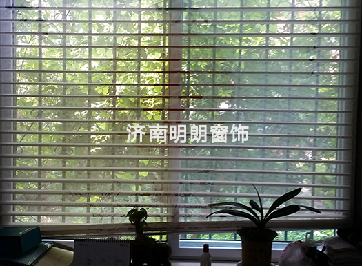 美女黄色网址